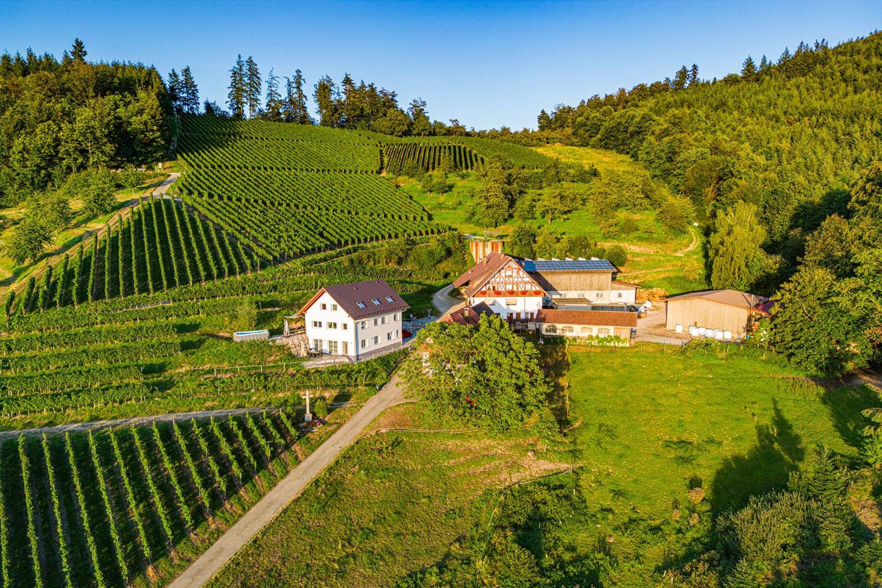 Paradieshof Lautenbach Exterior photo